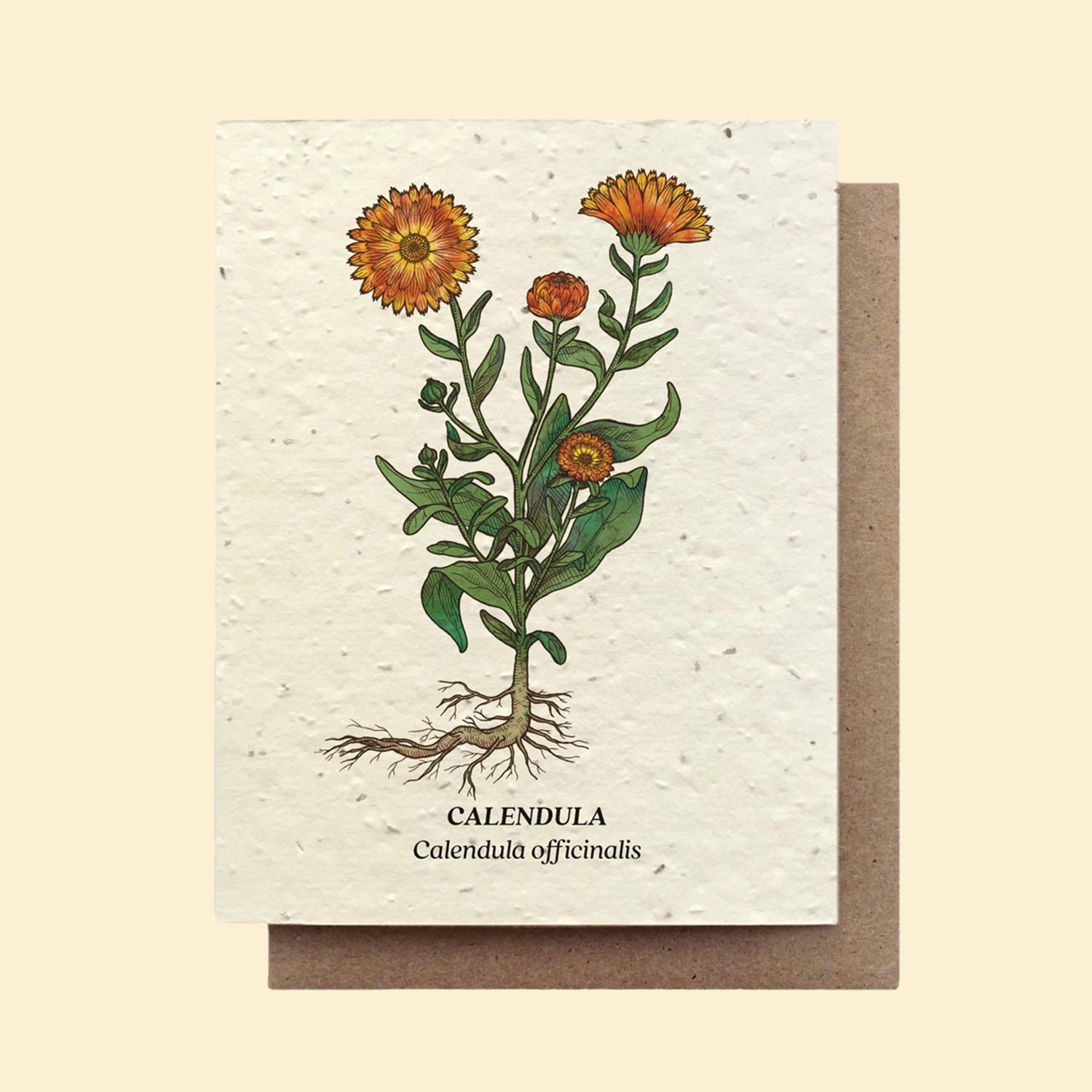 Calendula Wildflower Seed Card