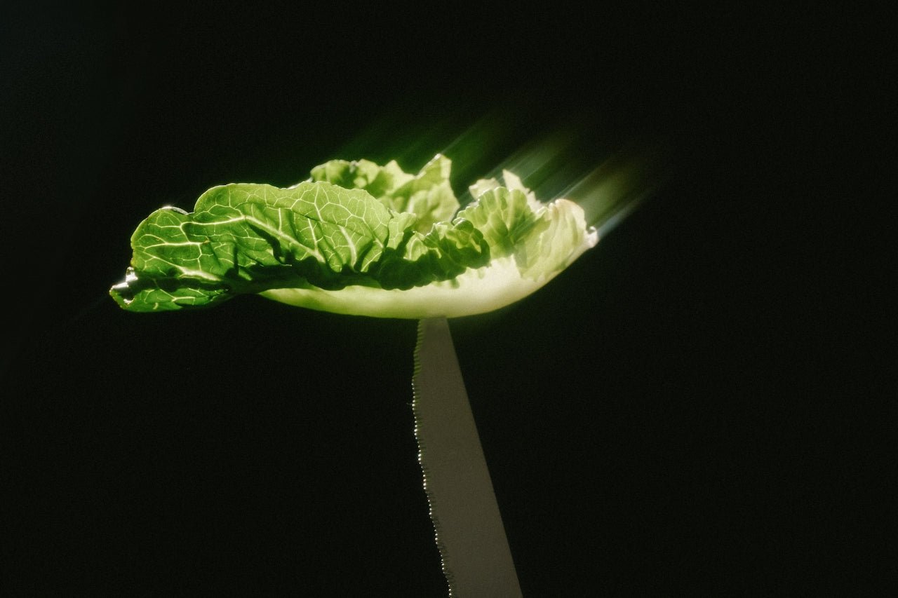 Fine Tunes: Fresh Greens - Barbari Botanical Co.