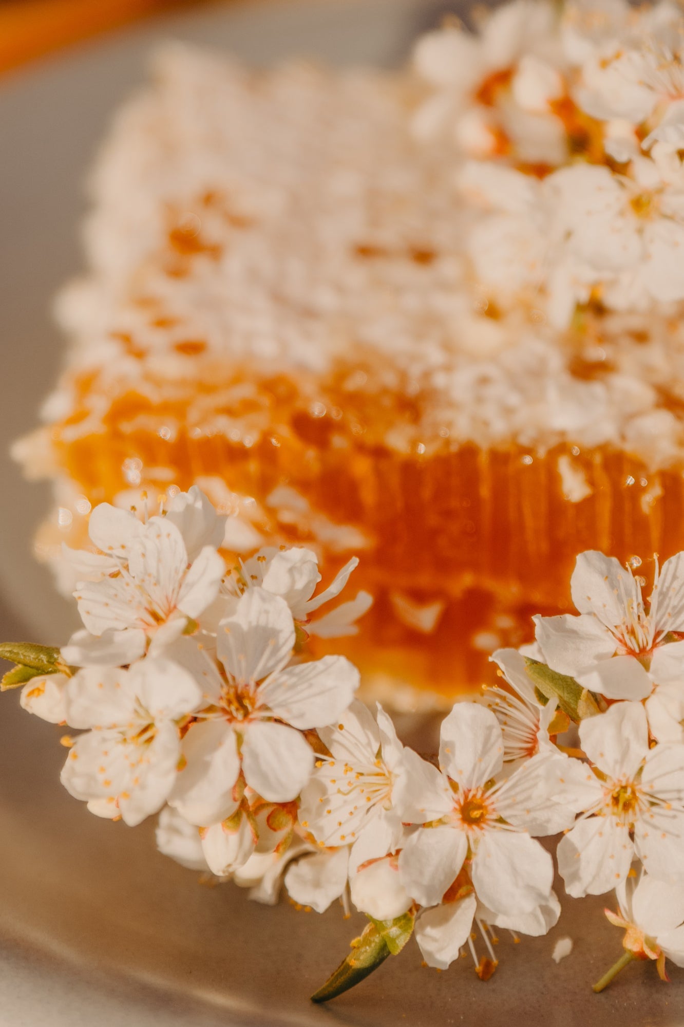 How To Make an Herbal Honey Syrup - Barbari Botanical Co.