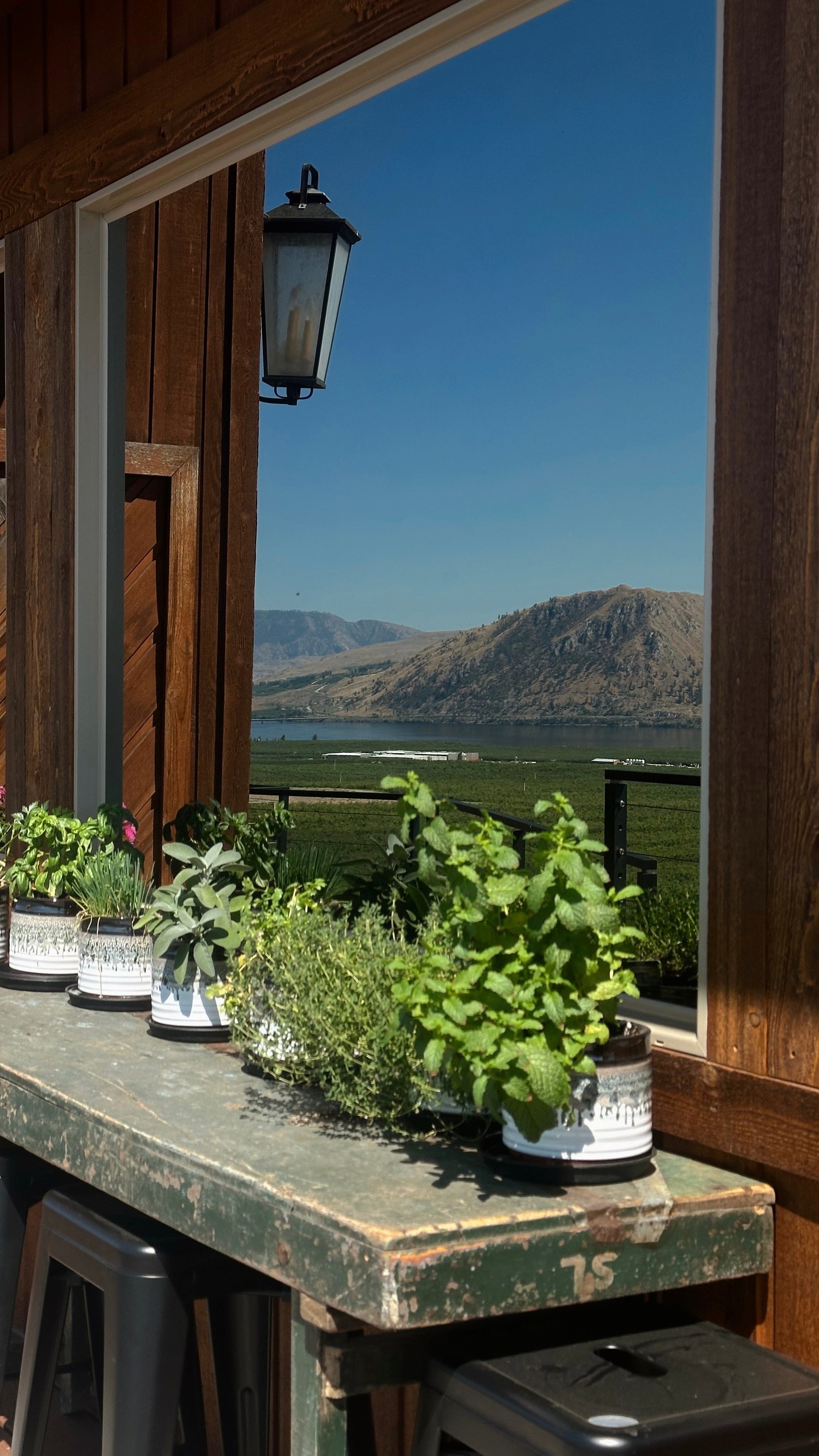 6 Easy-to-grow herbs for your smoking blend - Barbari Botanical Co.