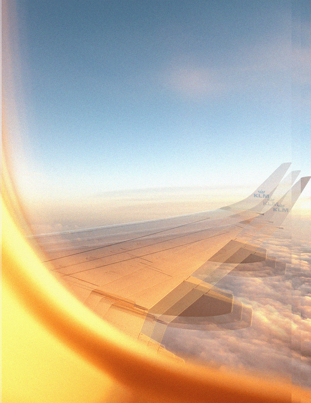 Traveling with THC - Barbari Botanical Co.