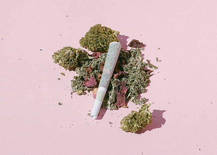 Barbari hemp and Airplane Mode herbal smoking blend on pink background