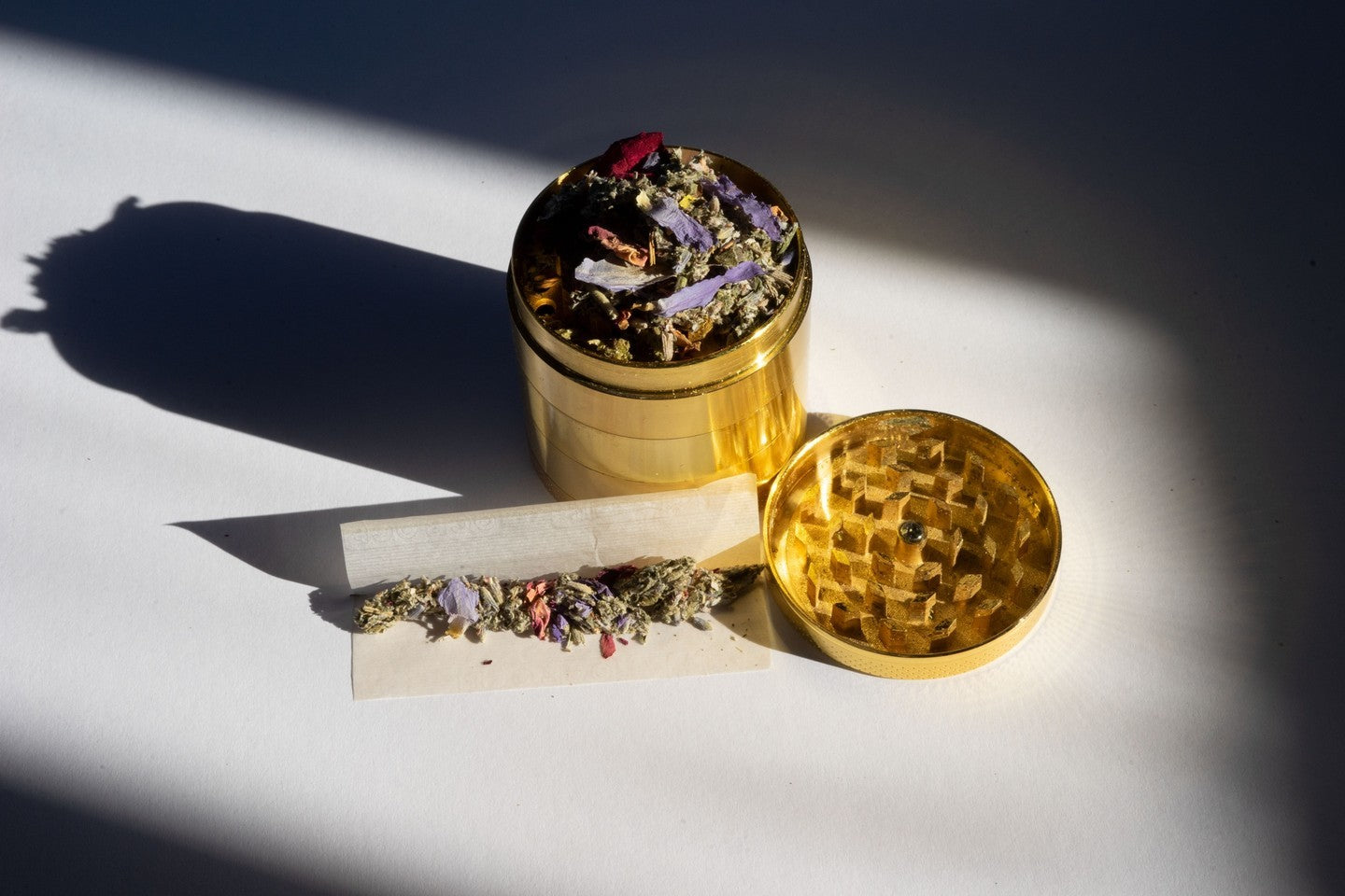 Barbari smoking herbs with gold grinder with rolling paper and long shadows