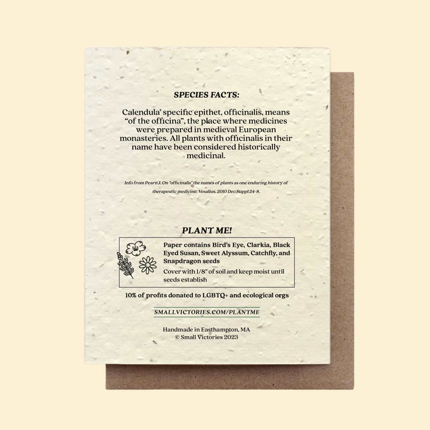 Calendula Wildflower Seed Card - Mother's Day Gifts - Barbari Botanical Co.