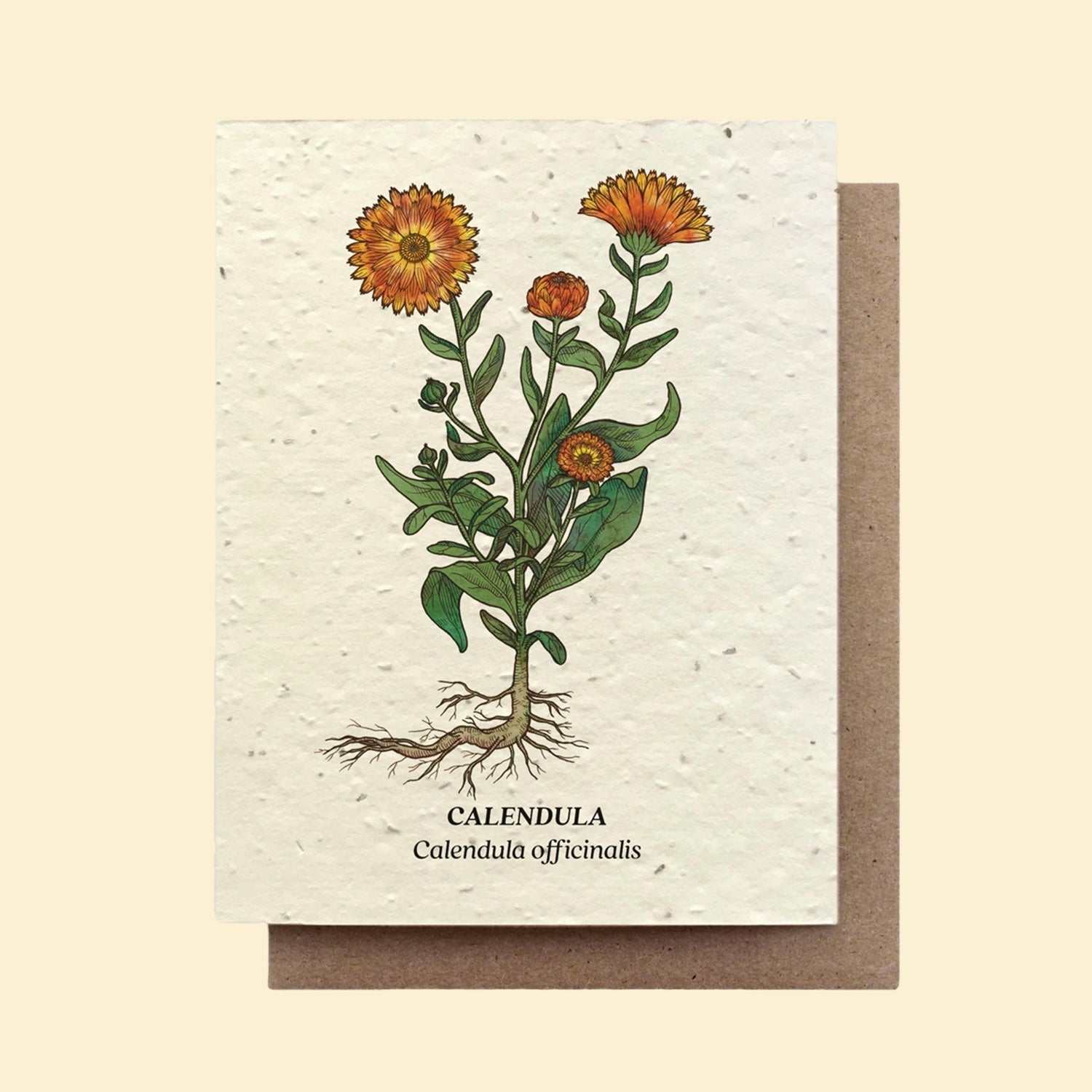 Calendula Wildflower Seed Card - Mother's Day Gifts - Barbari Botanical Co.